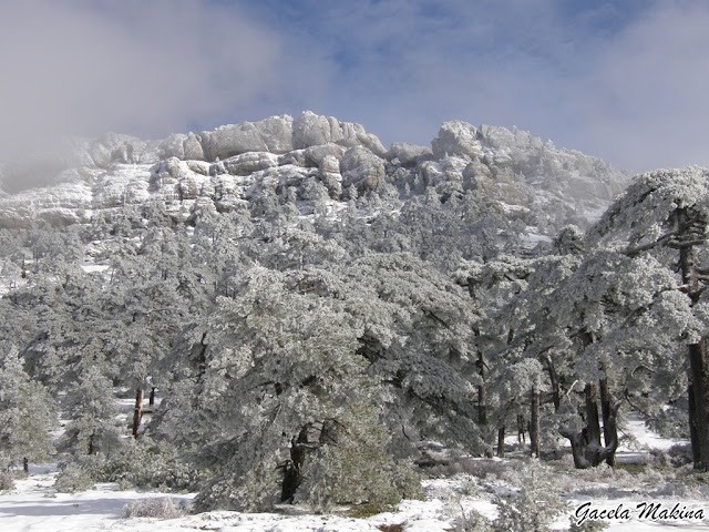 Cabañas en invierno