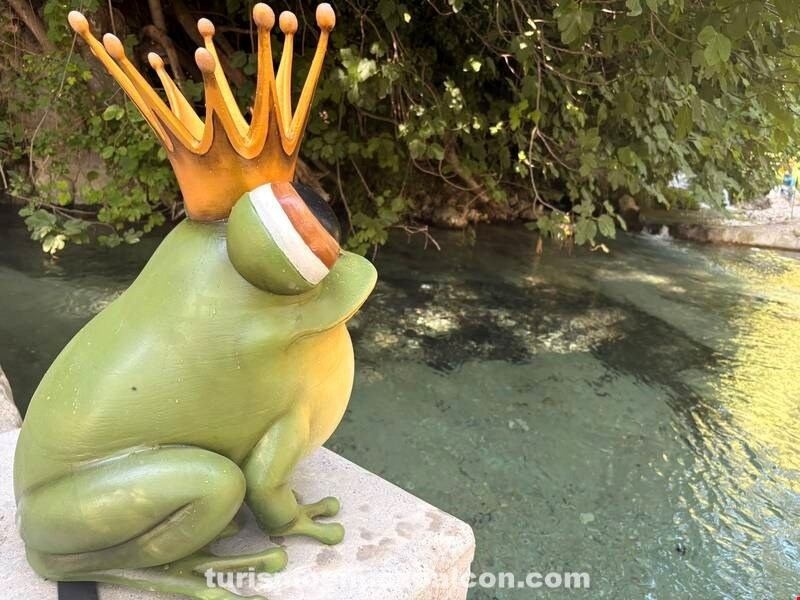 La rana coronada en el Bosque Encantado de Higueras