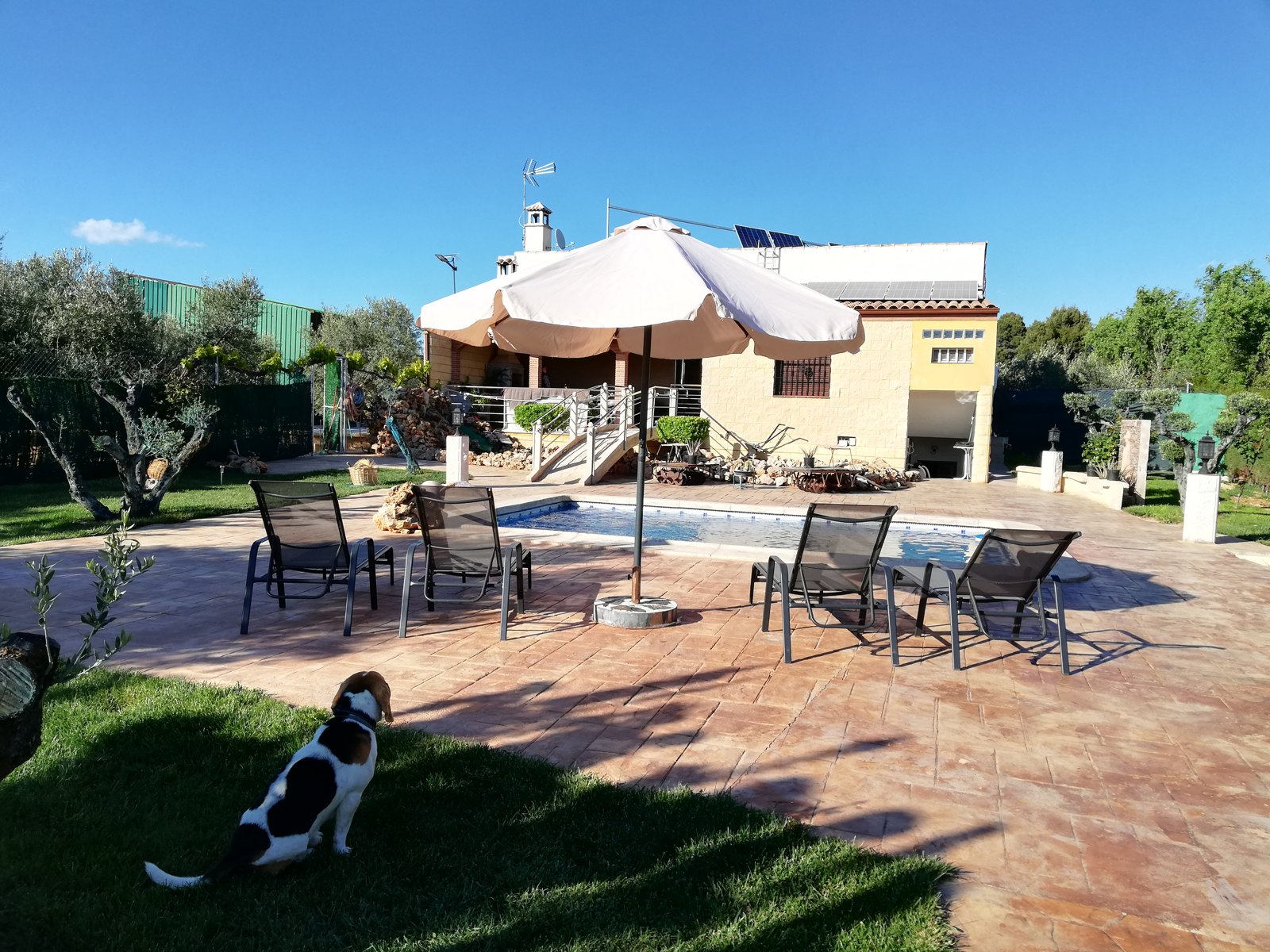 Jardín y exteriores de Villa Vega