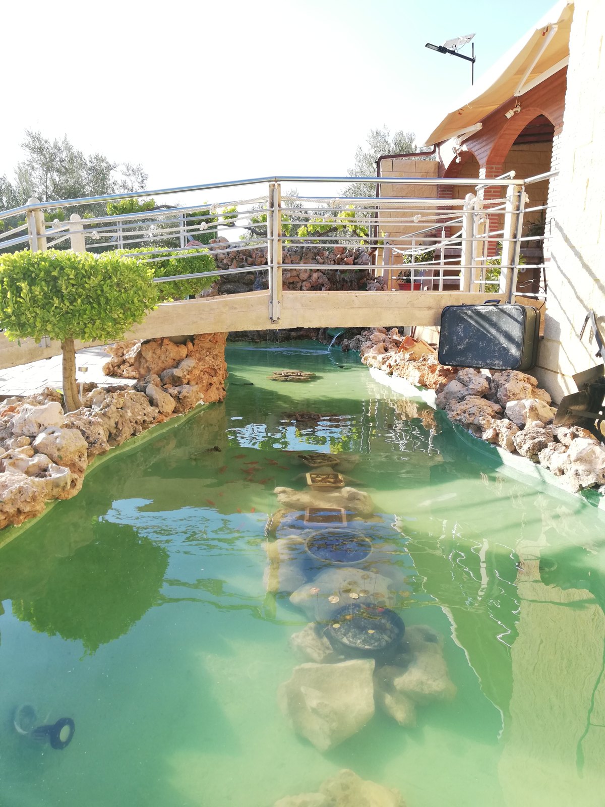 Estanque de peces de Villa Vega